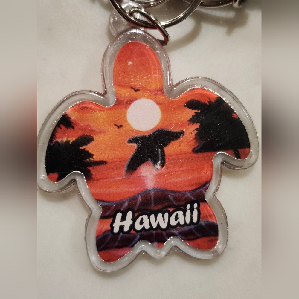 Hawaii Sunset Key Holder